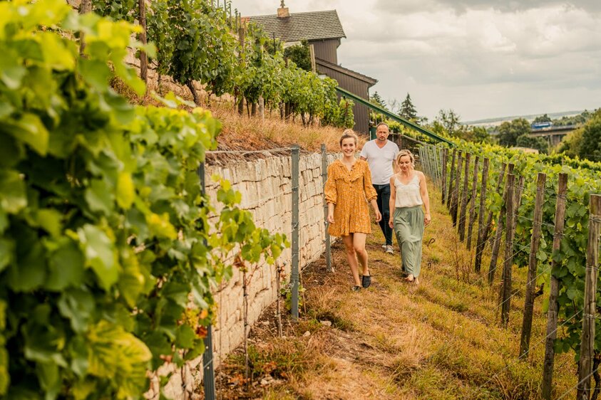 Große öffentliche Weinwanderung