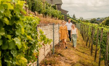 Große öffentliche Weinwanderung zum WeinWanderWochenende