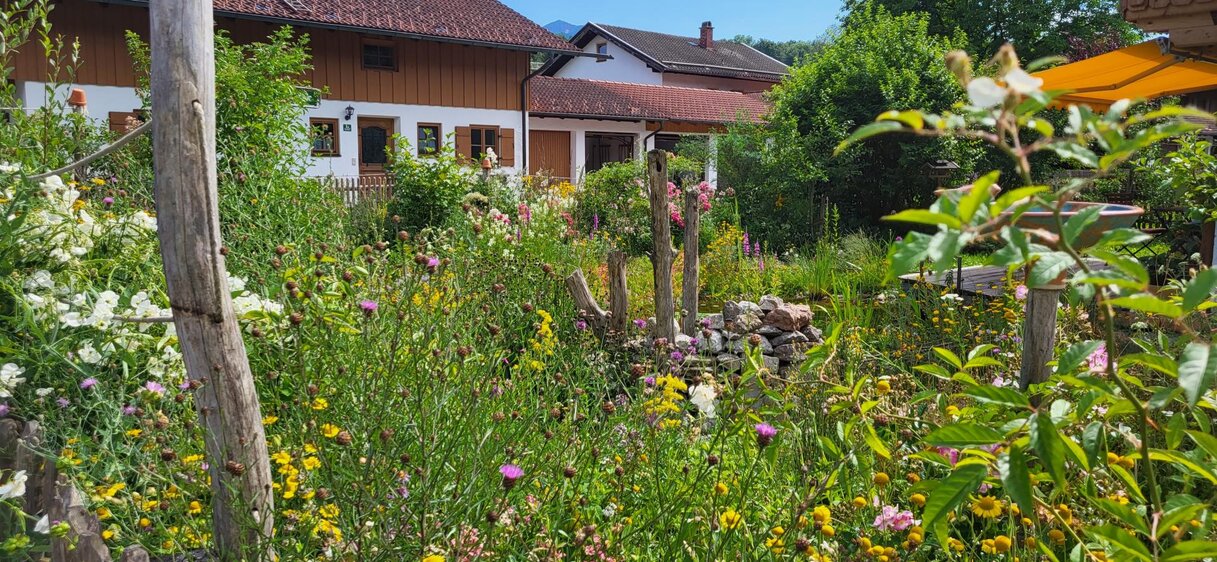 Filmabend "Die Retter der Artenvielfalt"