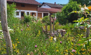 Filmabend "Die Retter der Artenvielfalt"