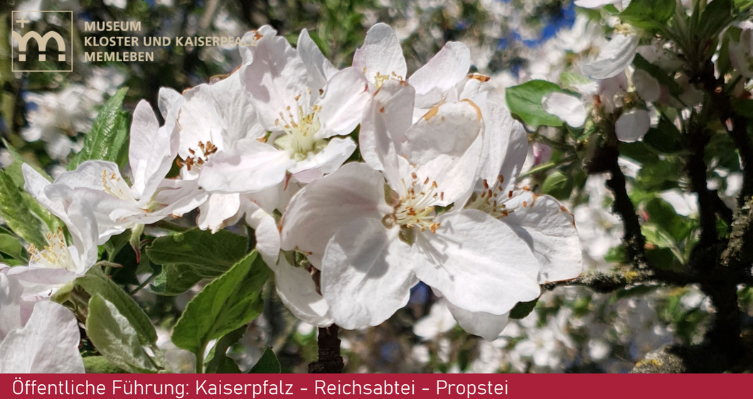 Öffentliche Führung:„Kaiserpfalz – Reichsabtei – Propstei“  