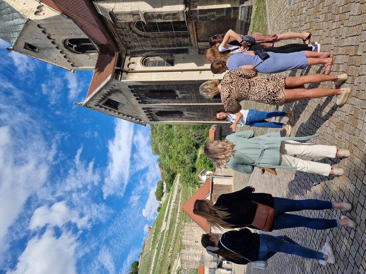 Öffentliche Stadtführung durch die historische Altstadt von Freyburg (Unstrut) 