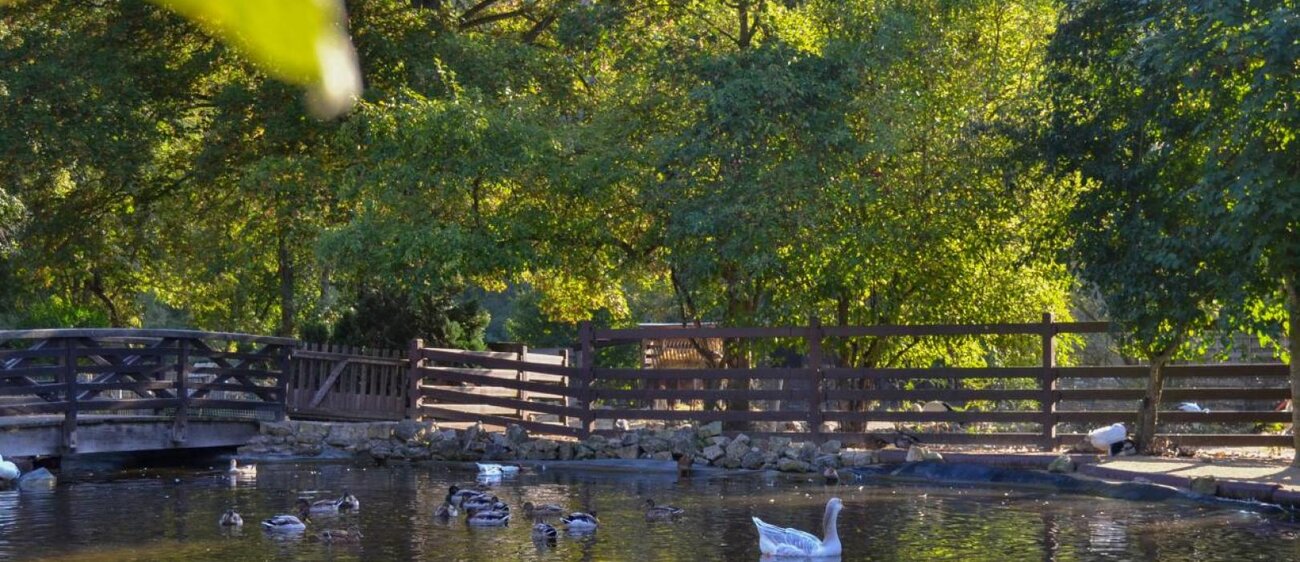 Tierpark in Bad Kösen