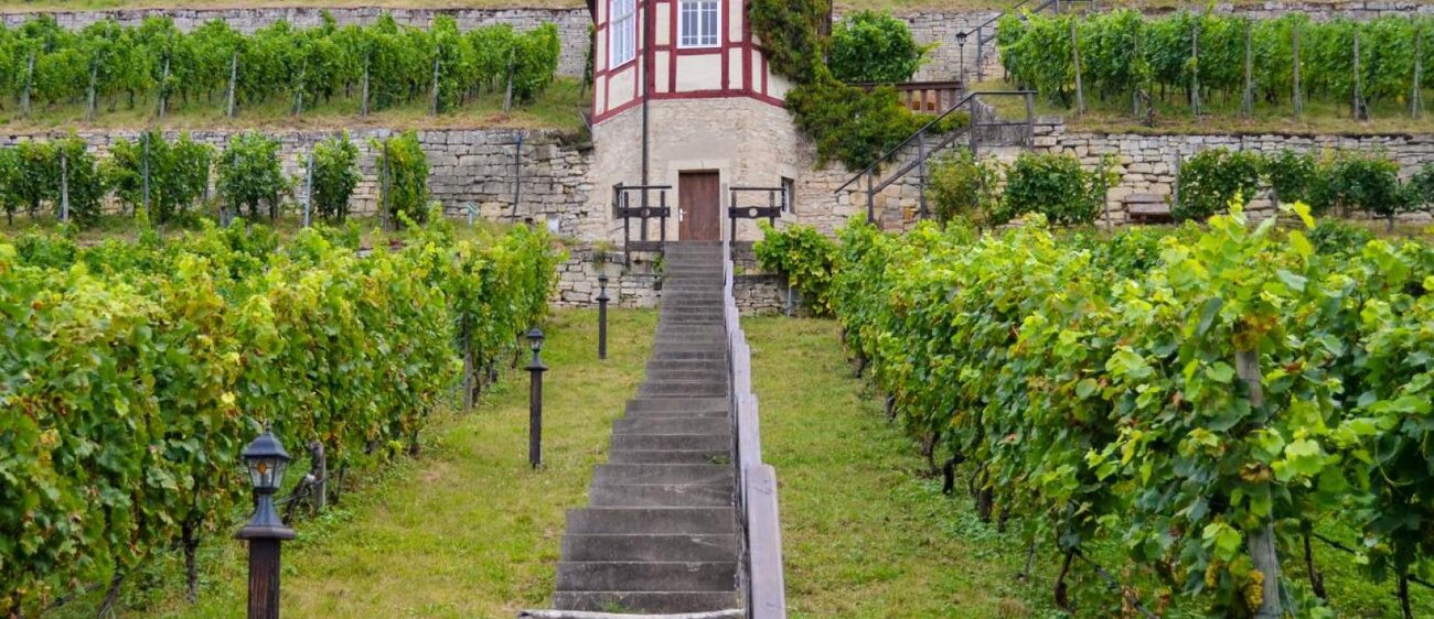 Herzoglicher Weinberg Freyburg