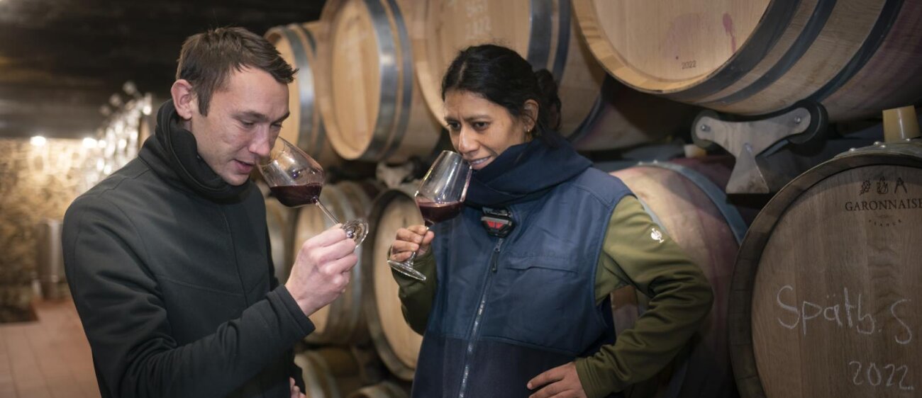 Landesweingut Kloster Pforta Bad Kösen