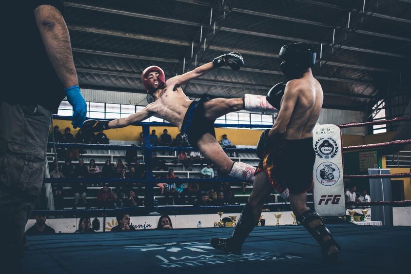 Paradise Fight Gala
