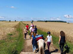 Goseck-Esel-und-Ponyhof-Wanderung-Amrei-Knauf