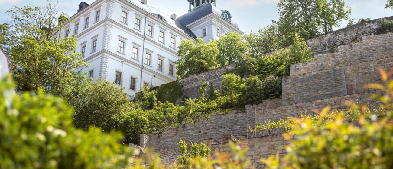 Blick auf Schloss Neu-Augustusburg Weißenfels mit dem darunter angelegten Weinberg