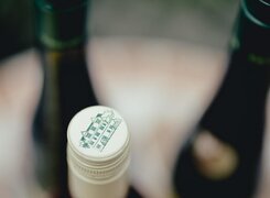 Würchwitz-Wein-und-Sektgut-Hubertus-Triebe-Flaschen