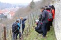 Praxisseminar Rebschnitt