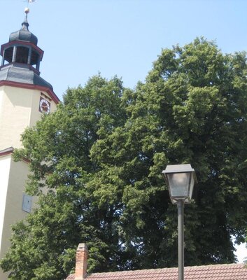 Kirche St. Vitus Wickerstedt