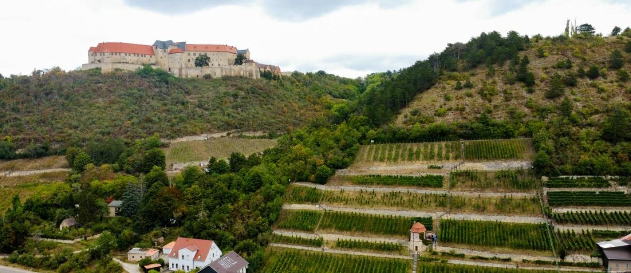 Blütengrund bei Naumburg