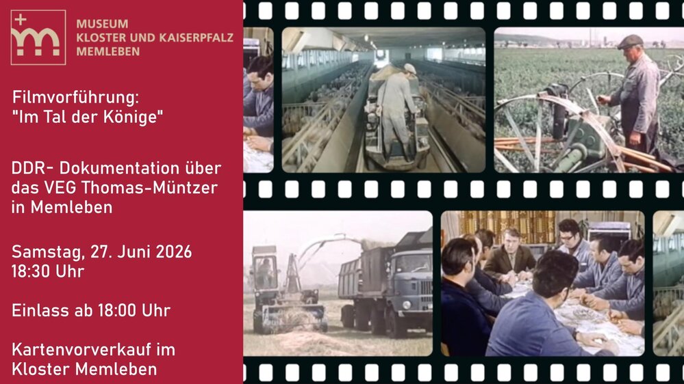 Filmvorführung: "Im Tal der Könige"