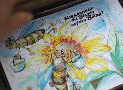 Nebra-Bienenlehrgarten-Lehrangebot