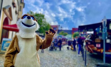 Tiergartenfest