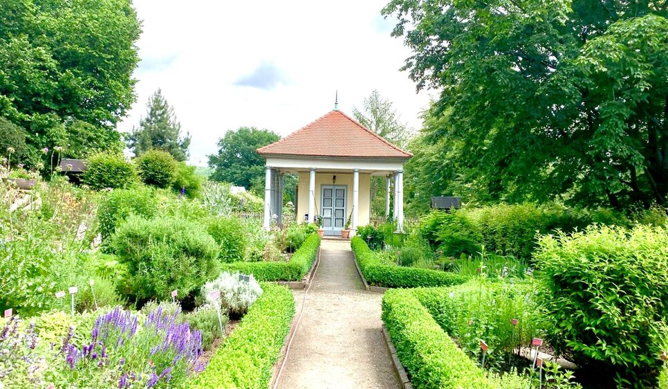 Offene Gärten - Open Gardens