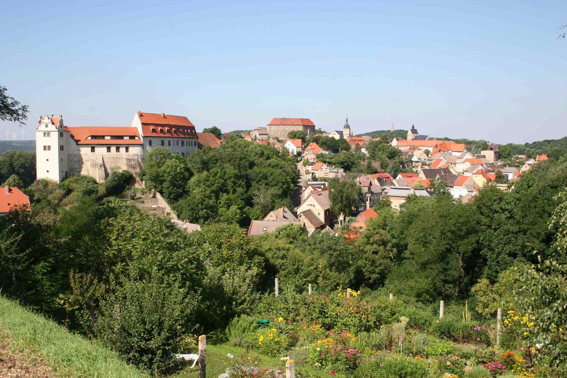 Burg Wettin und Stadt Wettin Überblick (c) Wettin -Information