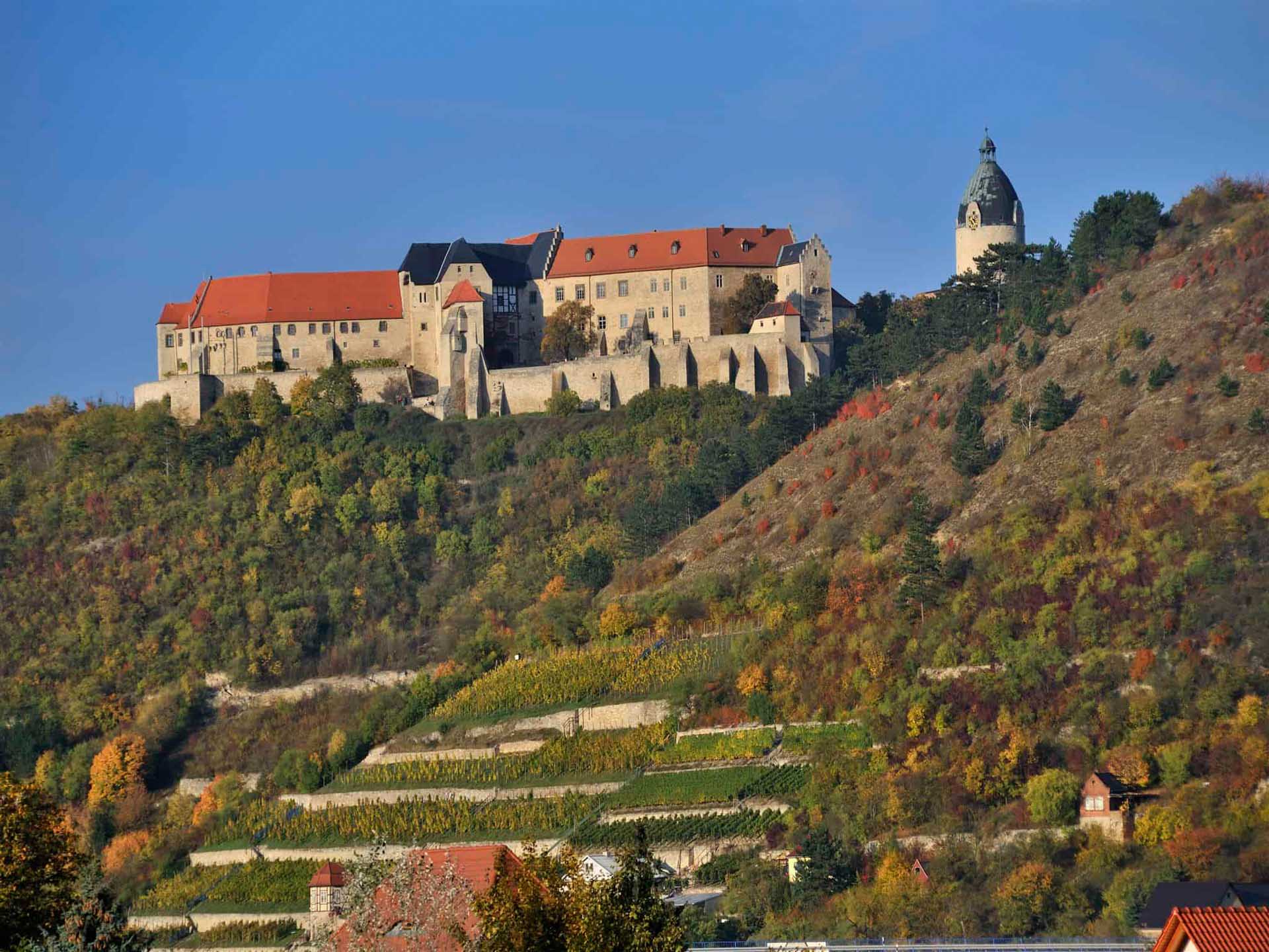 Schloss Neuenburg oberhalb von Freyburg