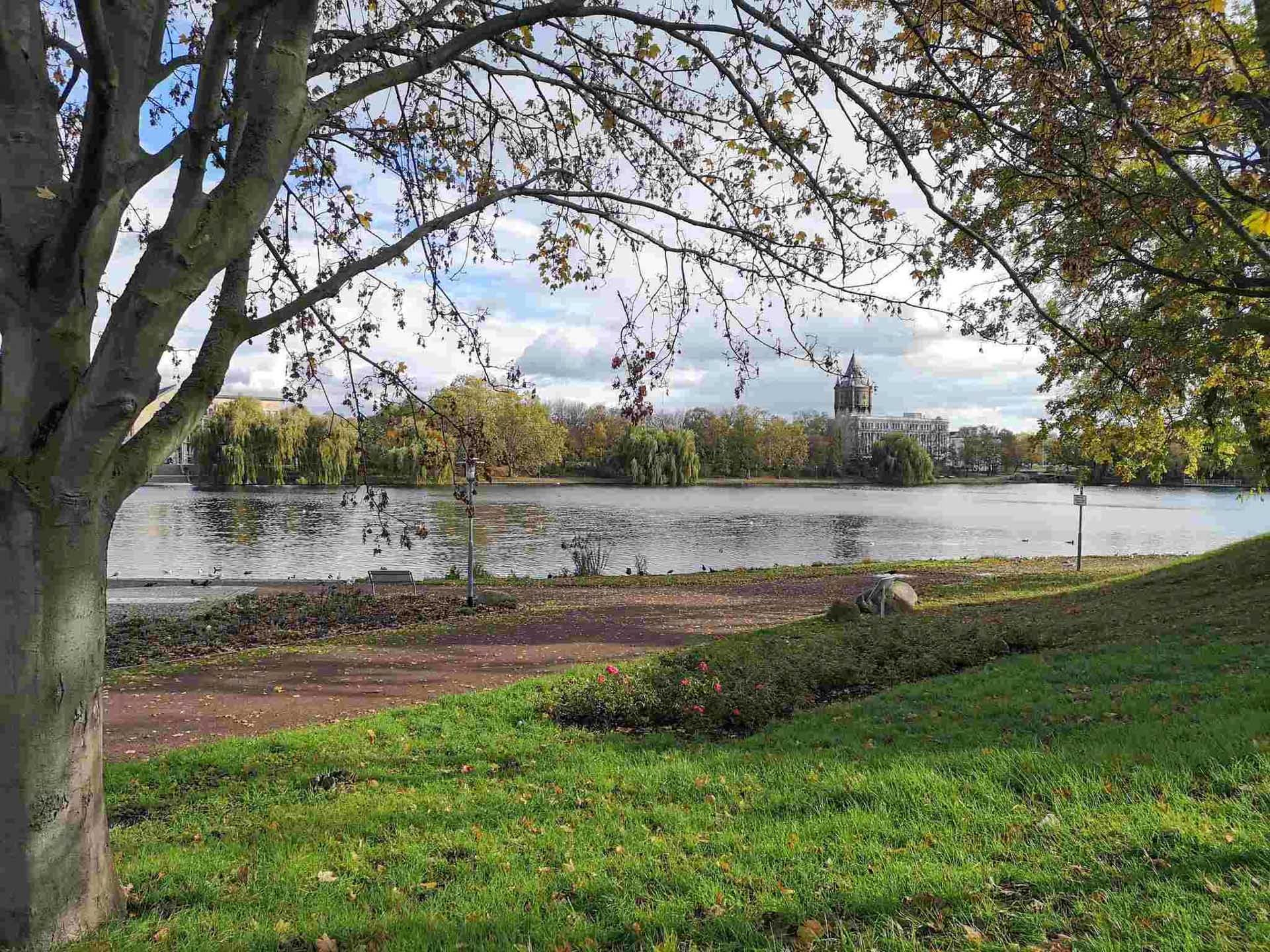 Vom Gotthardteich Merseburg sind es nur wenige Gehminuten bis in den Südpark (c) Stadt Merseburg