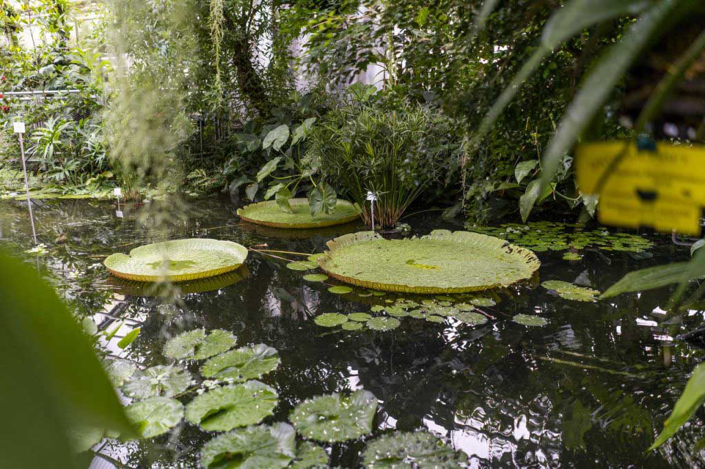 Botanischer Garten in jena (c) kommwirmachendaseinfach