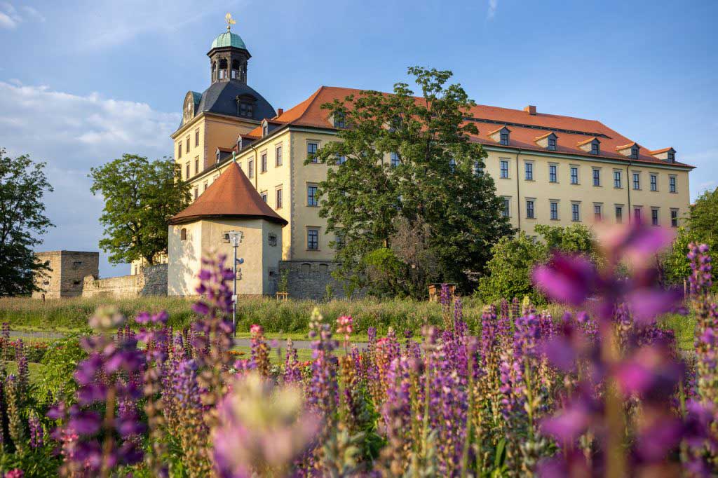 Schlosspark Moritzburg Zeitz (c) René Weimer