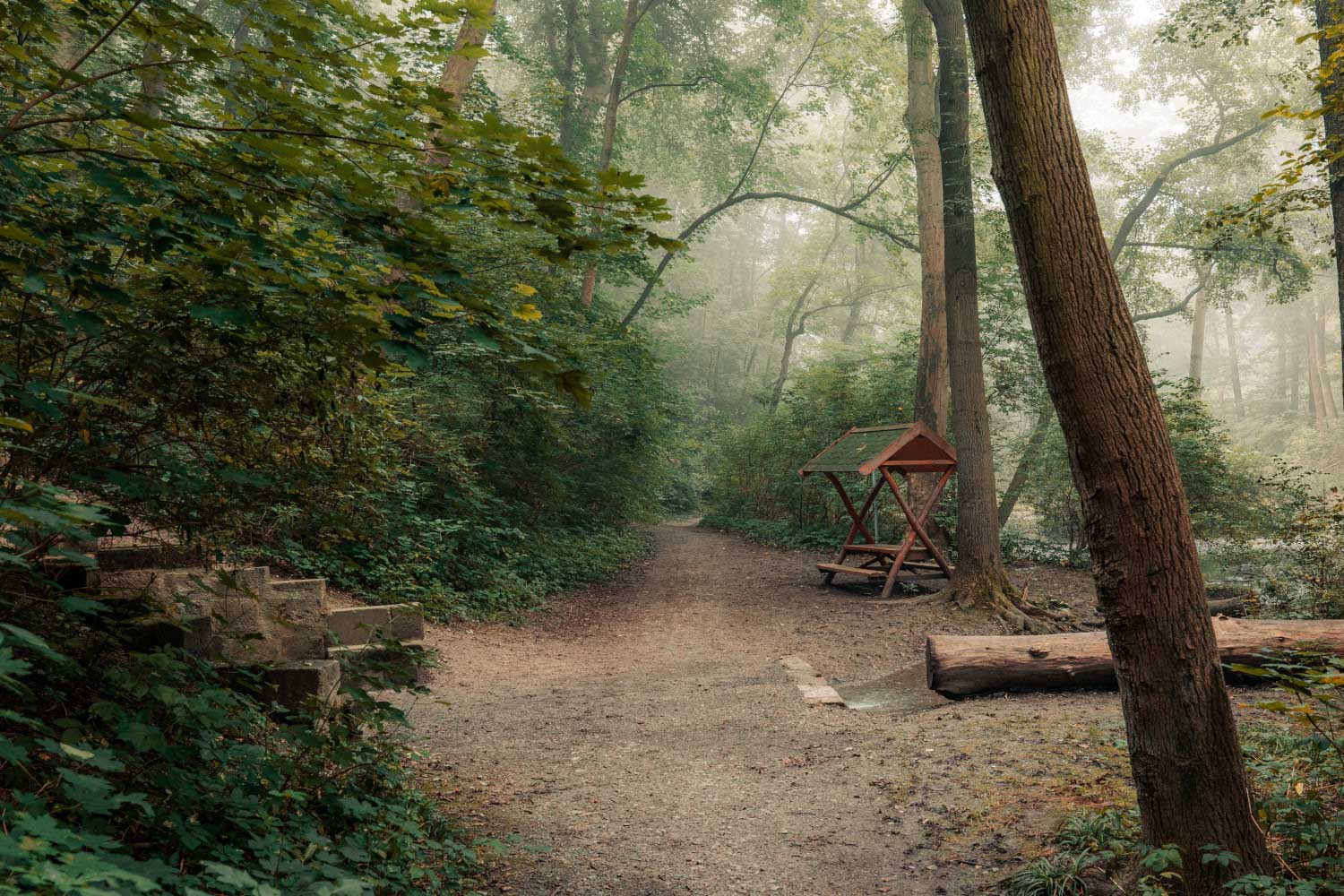 An der Klopstockquelle ist eine Rast möglich (c) Falko Matte