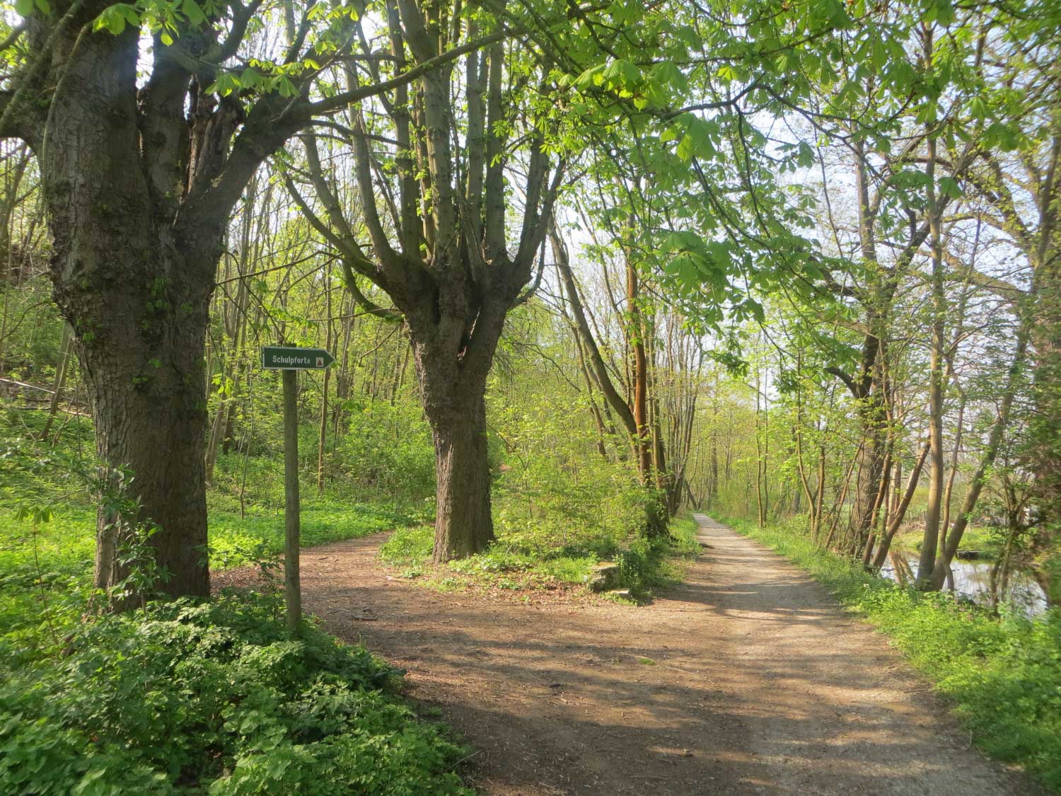 The hiking trail to Schulpforte goes along the Kleine Saale (c) Saale-Unstrut-Triasland Geo-Nature Park