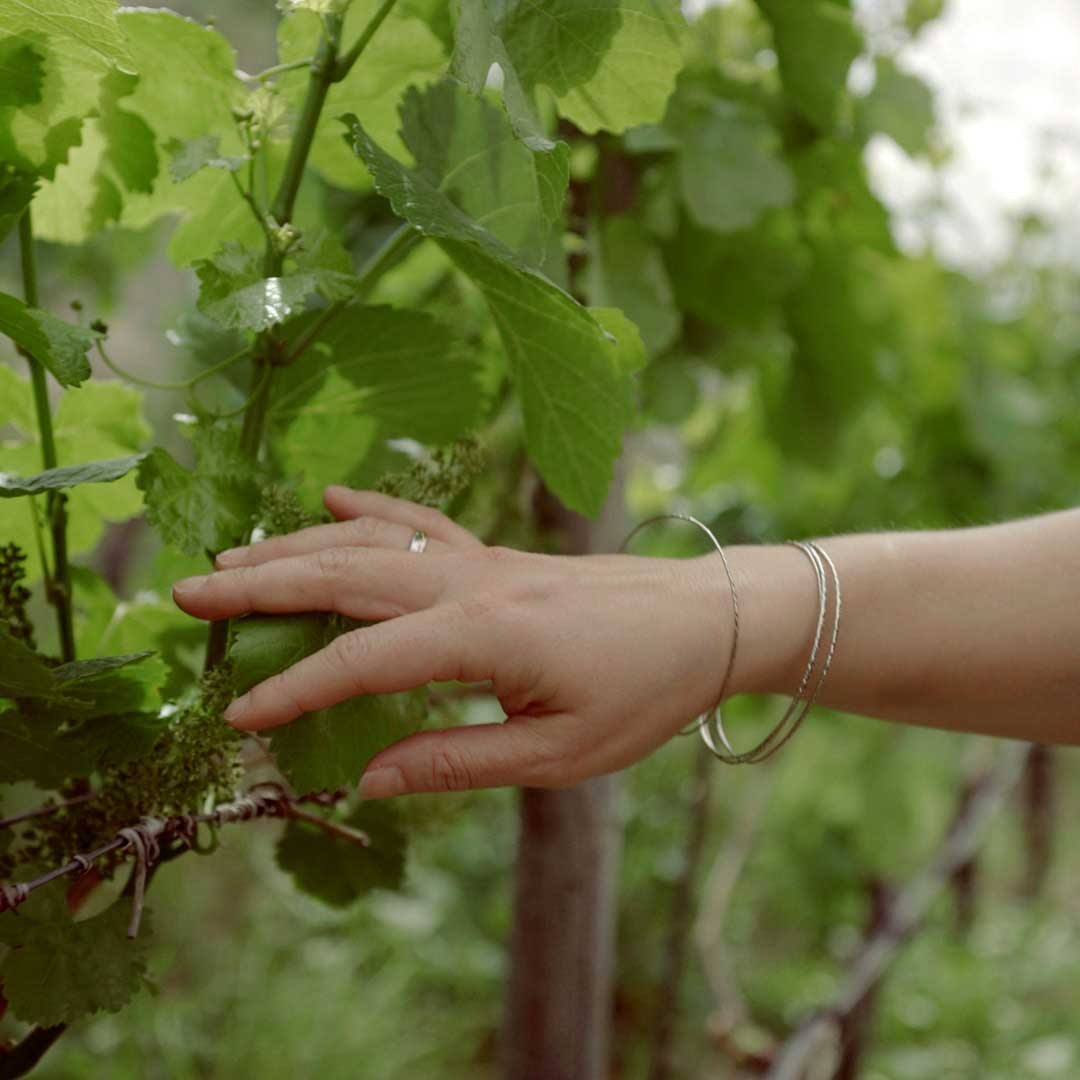 Psst ... impressive wine enjoyment as soon as the bouquet is hanging The vines are within reach everywhere in Saale-Unstrut (c) Daniel Remler