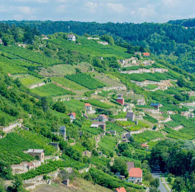 Gezicht op de Schweigenberge in Freyburg (c) Saale-Unstrut-Tourismus e.V., Christoph Keller