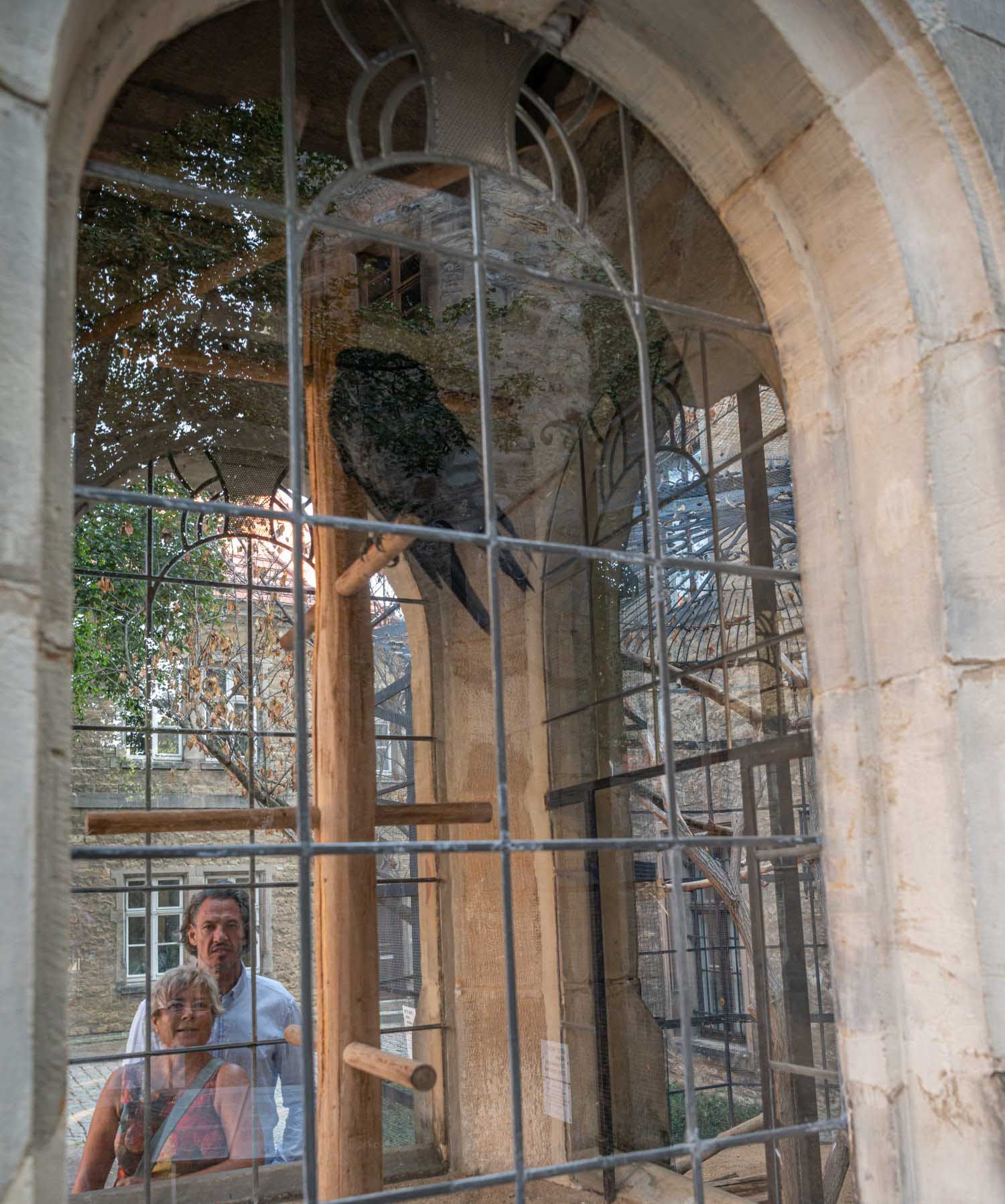 Der Rabe des Thilo von Trotha vor dem Merseburger Schloss (c) Saale-Unstrut-Tourismus e.V., Falko Matte