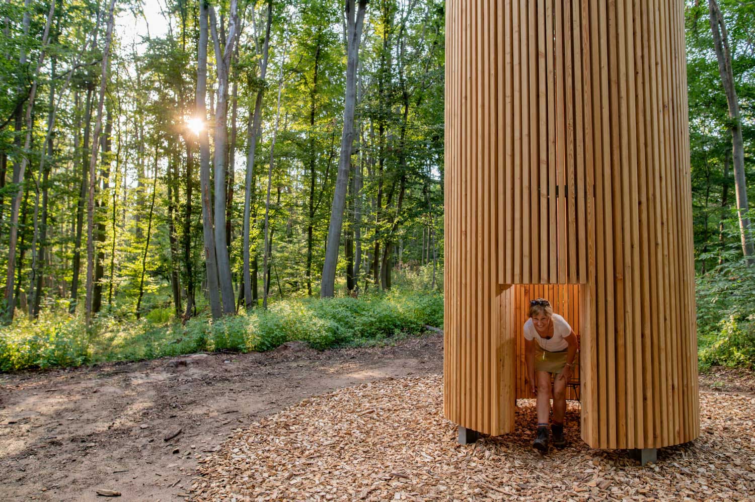 Der Waldpavillon von Hayato Mizutani am Kunstweg Arche Nebra (c) Saale-Unstrut-Tourismus e.V., Falko Matte