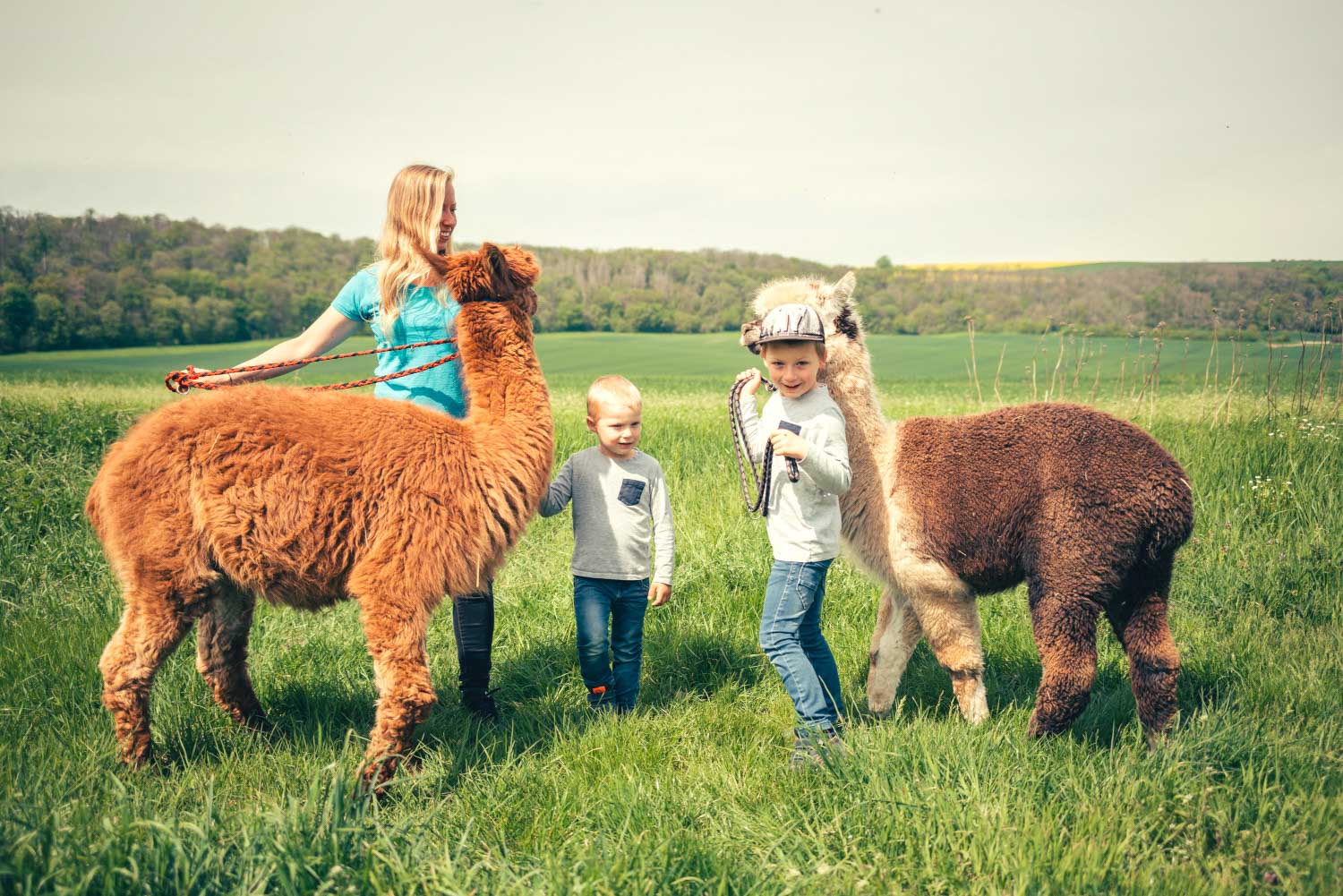 Een alpacawandeling is ook een belevenis voor kinderen (c) Saale-Unsturt-Tourismus e.V., Daniel Remler