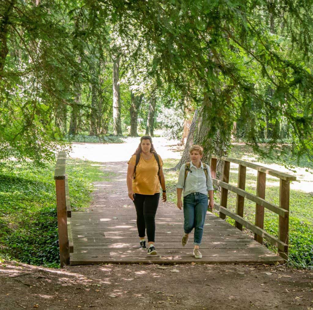 Charming paths and visual axes can be explored in Ostrau Castle Park (c) Saale-Unstrut-Tourismus e.V., Falko Matte