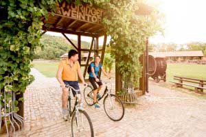 Thuringian Wine Gate in Bad Sulza (c) Saale-Unstrut-Tourismus e.V., Transmedial