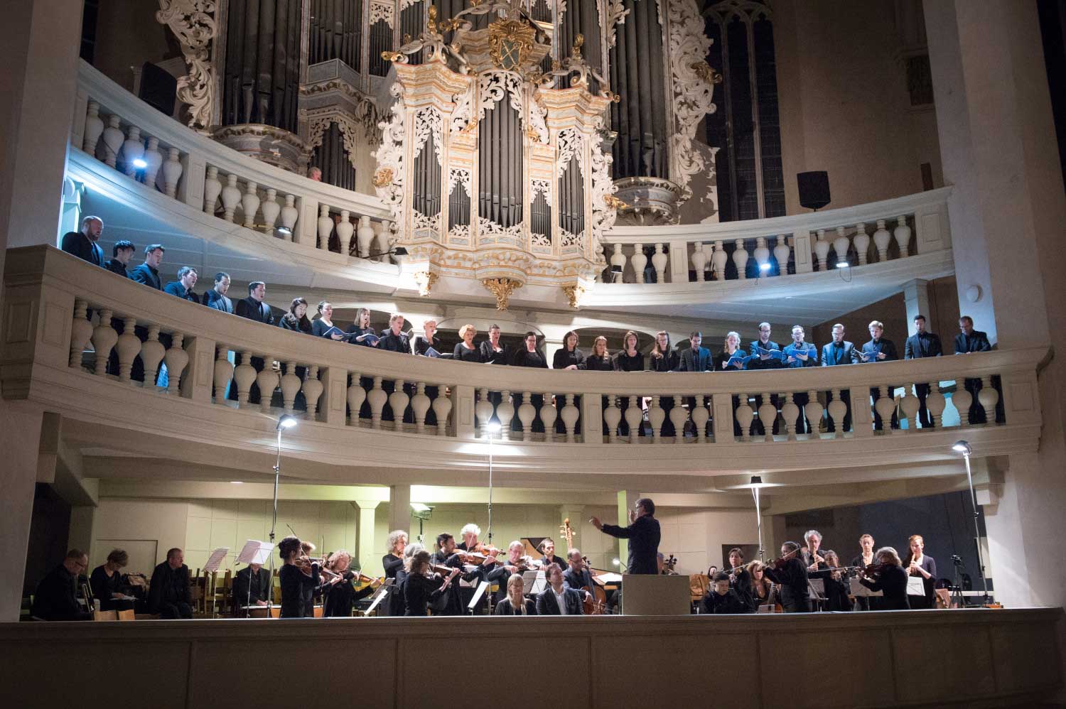 Hildebrandt organ at the Hildebrandt Days in Naumburg (c) Torsten Biel