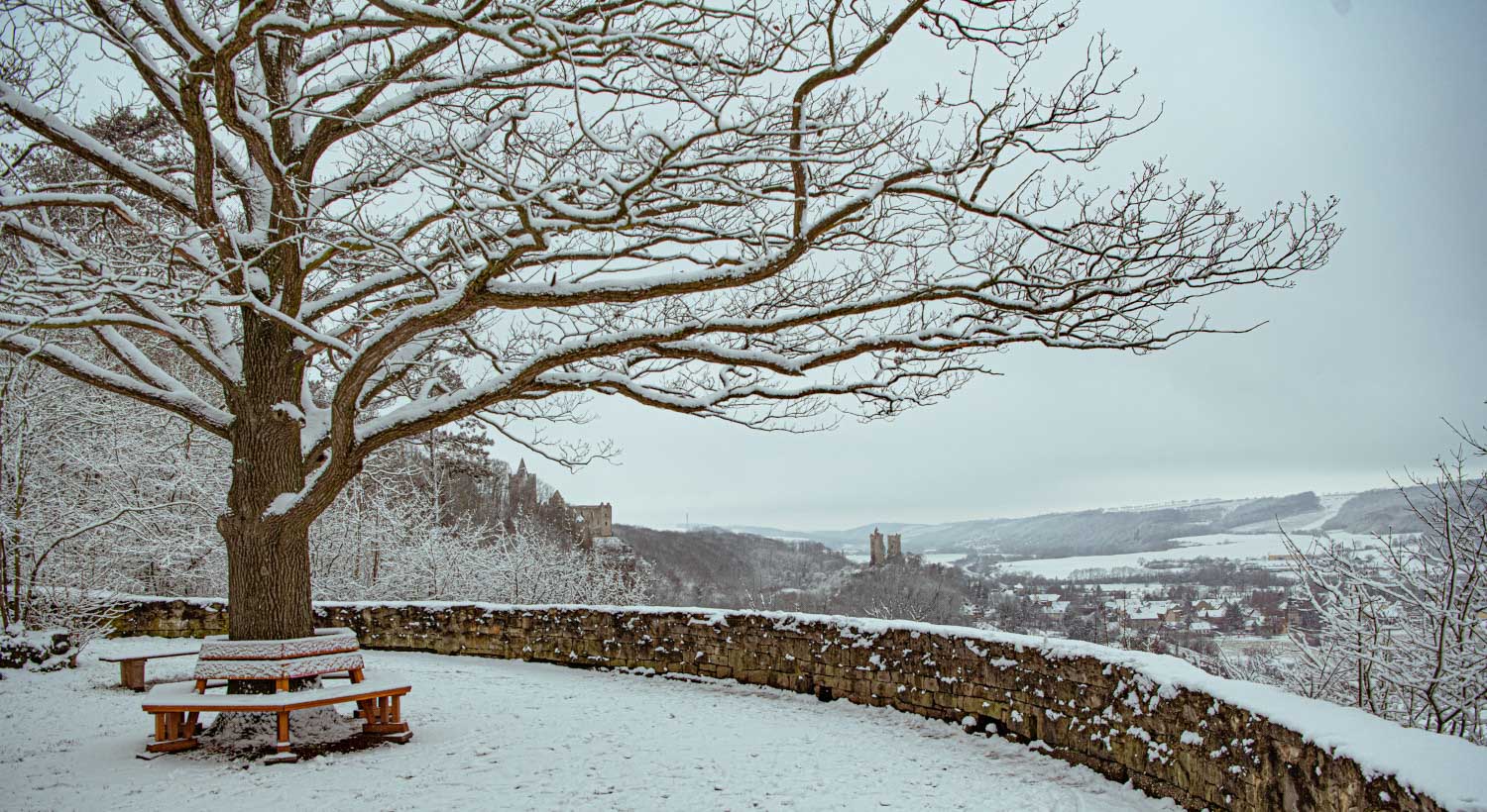 Winterspaziergang in Saale-Unstrut auf dem Rudelsburg-Rundweg (c) Saale-Unstrut-Tourismus e.V., Falko Matte