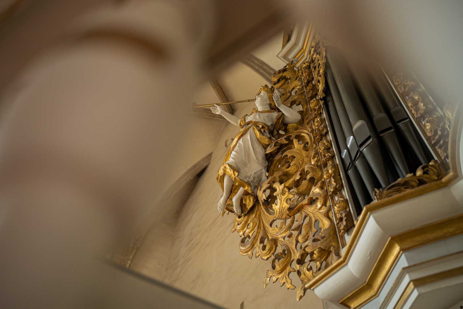 Trumpet Angel at the Ladegast Organ Merseburg (c) Daniel Remler