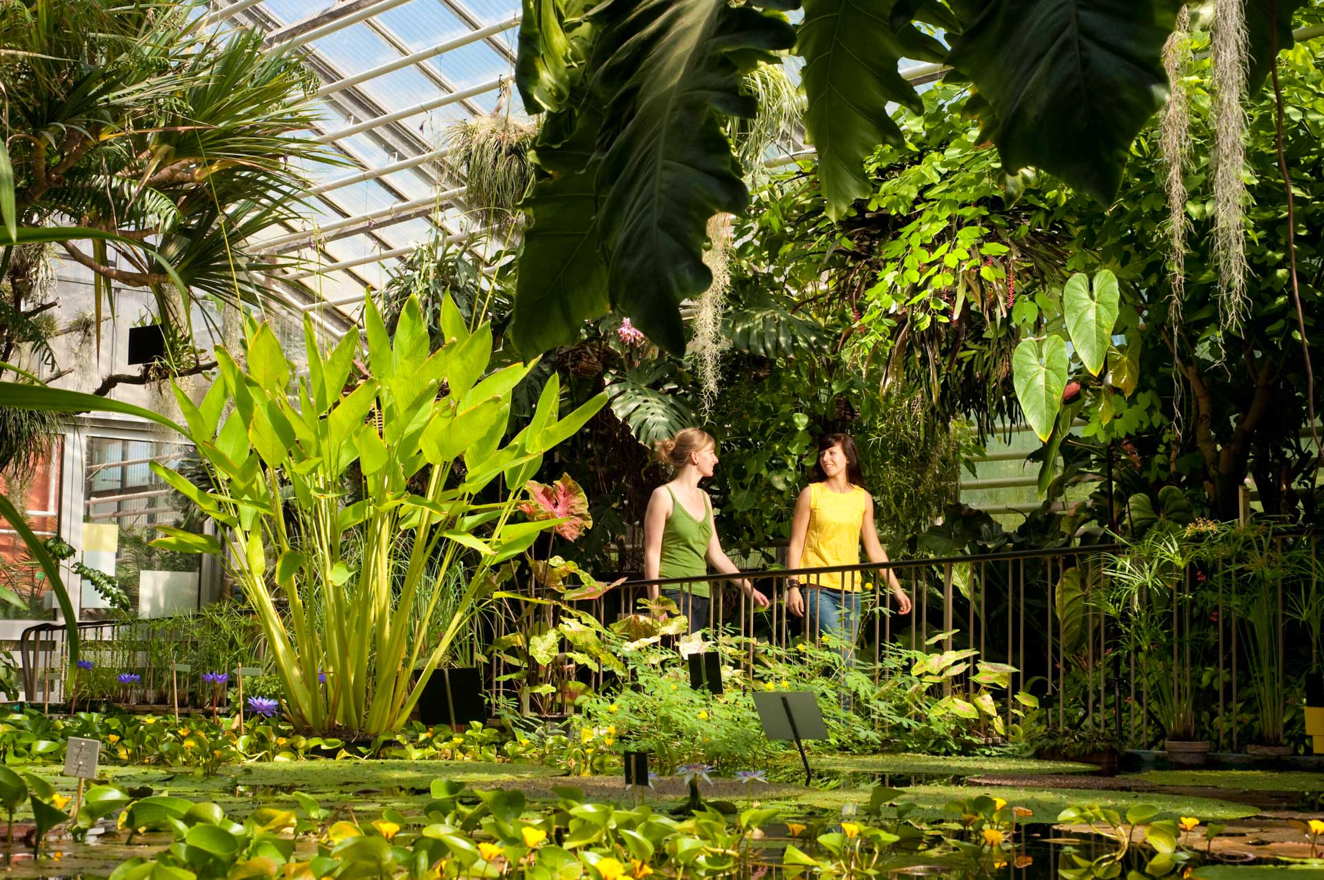 Tot de parken en tuinen in Saale-Unstrut behoort ook de Botanische Tuin in Jena (c) JenaKultur, A. Hub