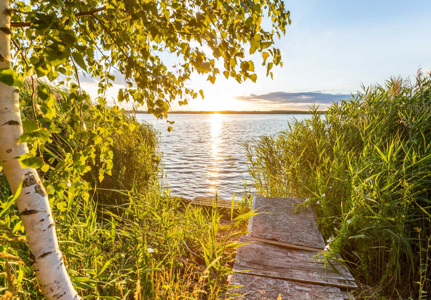 Uitzicht op het Runstedt-meer (c) Saale-Unstrut-Tourismus e.V., Sven Runkel svenart.eu