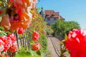 The Dornburg Castles and Gardens are among the particularly attractive parks and gardens in Saale-Unstrut (c) Laura Schneider