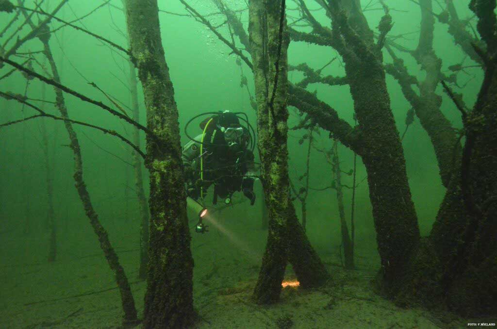 Diving at the Geiseltalsee (c) Tauchzentrum Geiseltalsee
