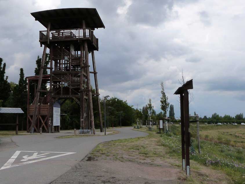 lookout tower Braunsbedra c city of Braunsbedra