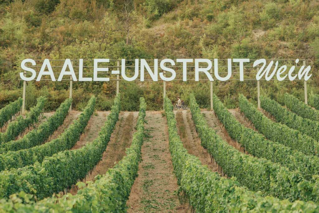 Saalhausen vineyards near the Pforta Monastery State Winery (c) Saale-Unstrut-Tourismus e.V., Falko Matte