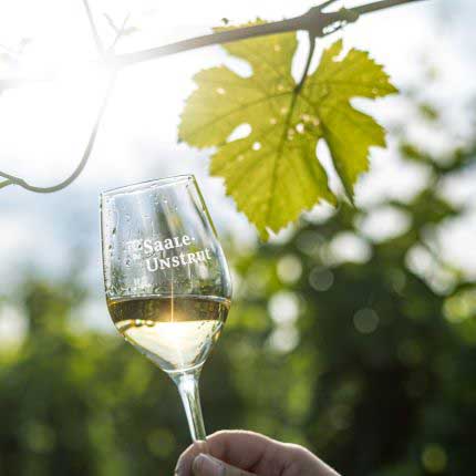 Preview Saale Unstrut wine glass with vine leaf c sut FalkoMatte