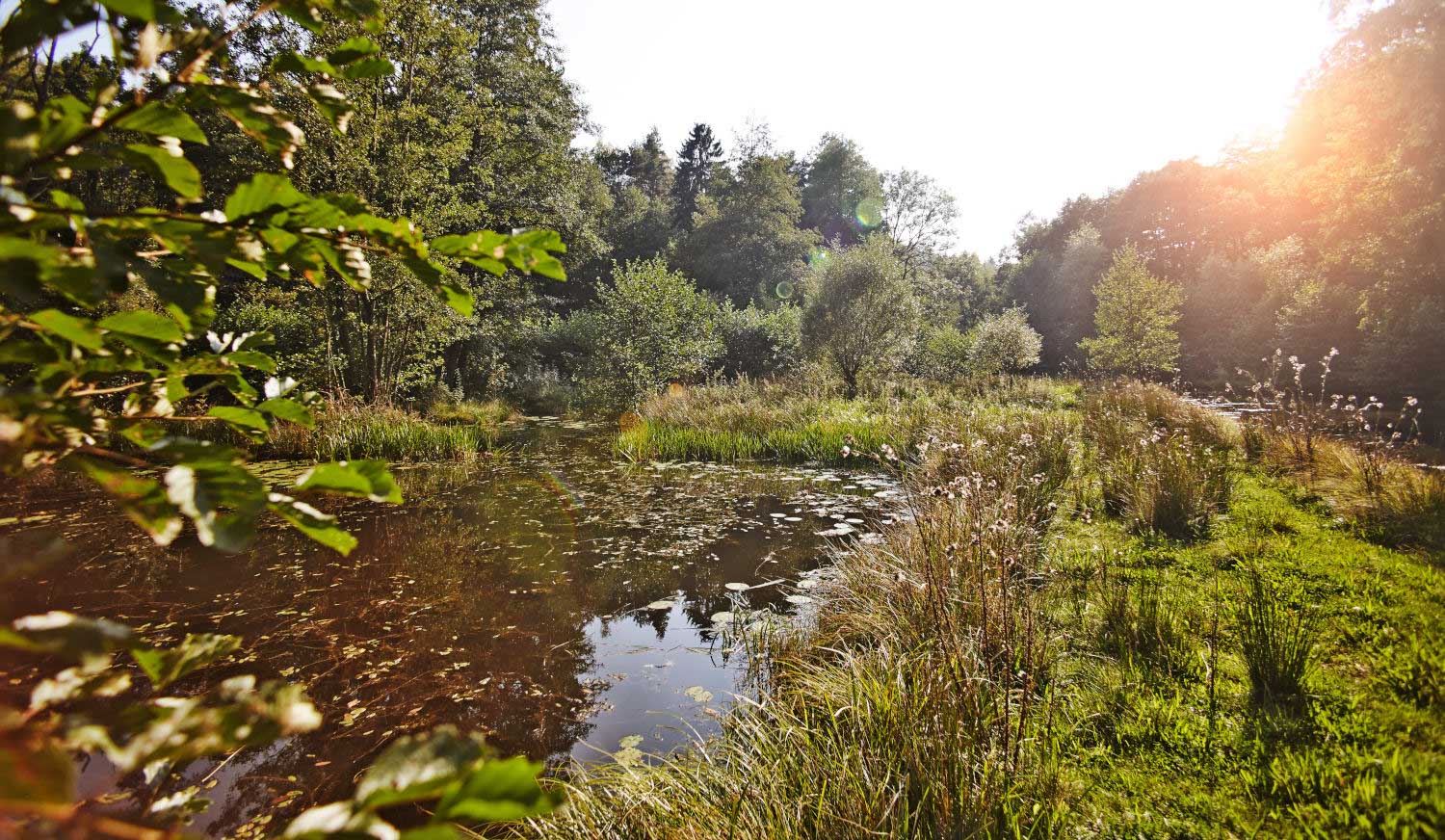 verwunschener Zeitzgrund (c) Jens Hauspurg